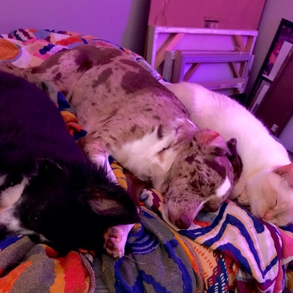 Meet your Posher, Amanda - Picture 2 of 2